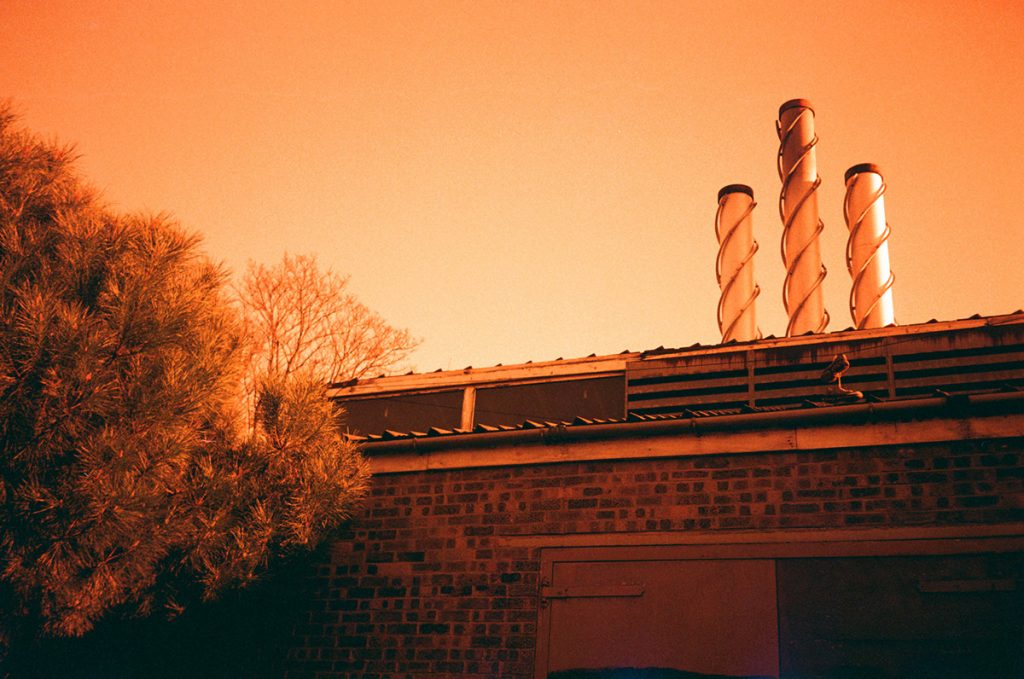 Redscale Fuji Superia mjuii Camberwell 10