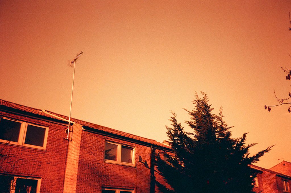 Redscale Fuji Superia mjuii Camberwell 13