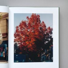 JAMIE HAWKESWORTH The British Isles