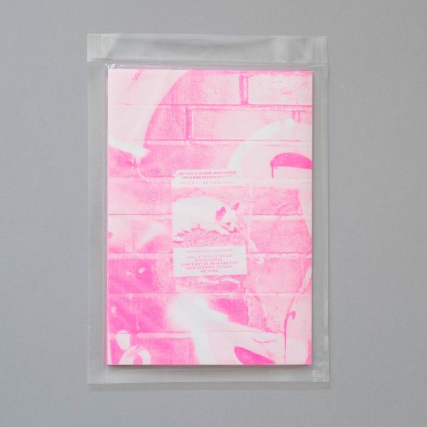 Nina Veech Lost And Found