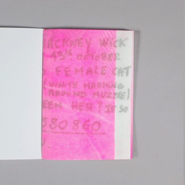 Nina Veech Lost And Found