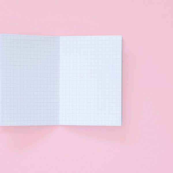 Parallax Kraft Notebook Pink Grid
