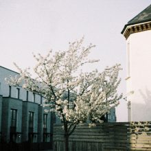 Lomography Lomochrome Metropolis 110 Film Lomography Lomochrome Metropolis 110 Film