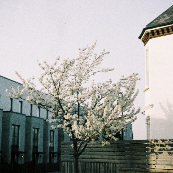 Lomography Lomochrome Metropolis 110 Film Lomography Lomochrome Metropolis 110 Film