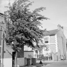 Ilford Delta 400 Film Review