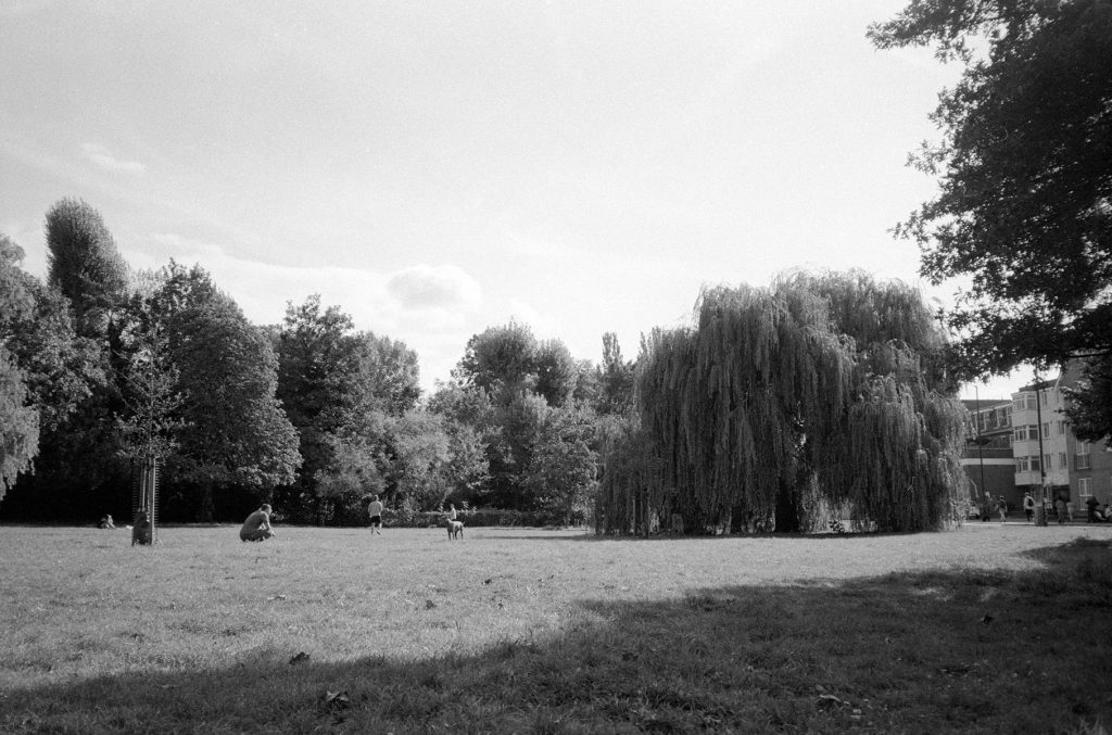 Peckham Rye Ilford Delta 400 Yashica T4