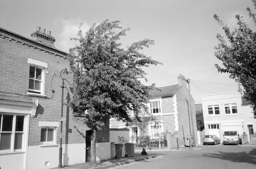 Ilford Delta 400 Street Windy Tree Peckham