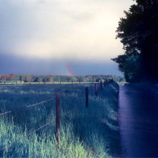 Kono Delight Art 100