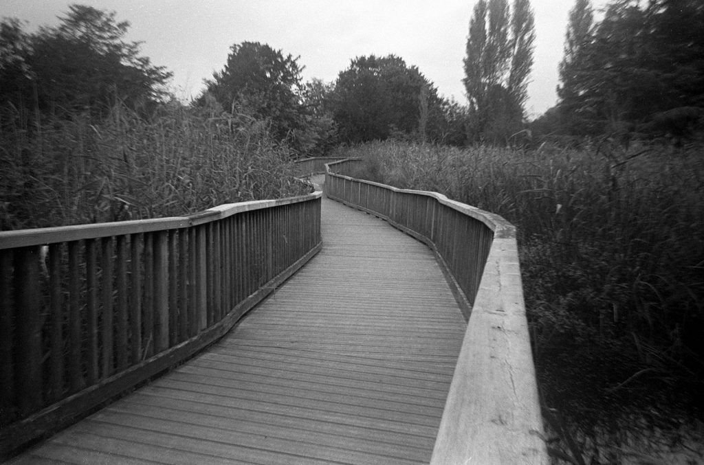 AgfaPhoto APX 400 35mm Film 36 Exposures - Parallax Photographic