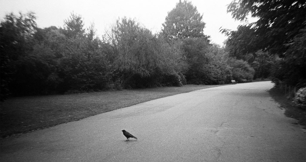 Agfa APX 400 Film Review