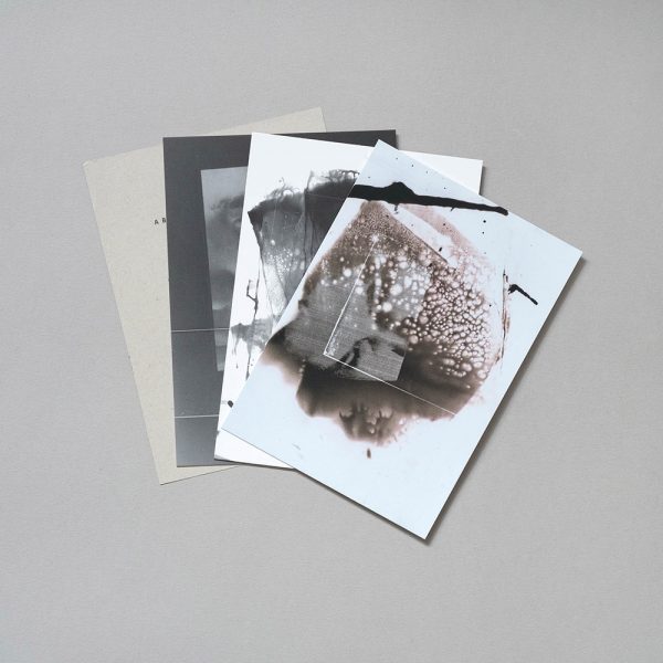 Alice Campos Flesh Postcard Set