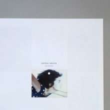 CHRISTIAN BONIFAS Petites Natures 2 CHRISTIAN BONIFAS Petites Natures