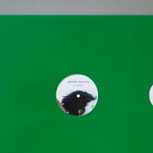 CHRISTIAN BONIFAS Petites Natures CHRISTIAN BONIFAS Petites Natures