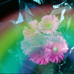 BKIFI Rainbow 35mm Film Example 1