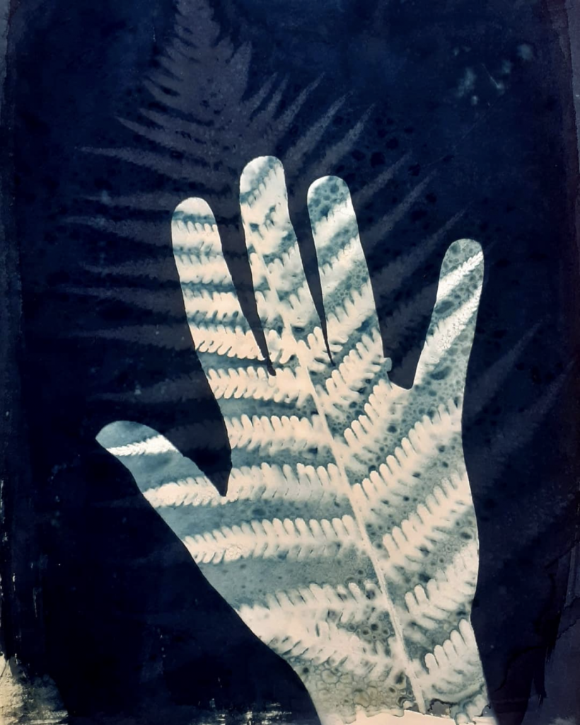 How To Use Cyanotype Paper - Parallax Photographic Coop