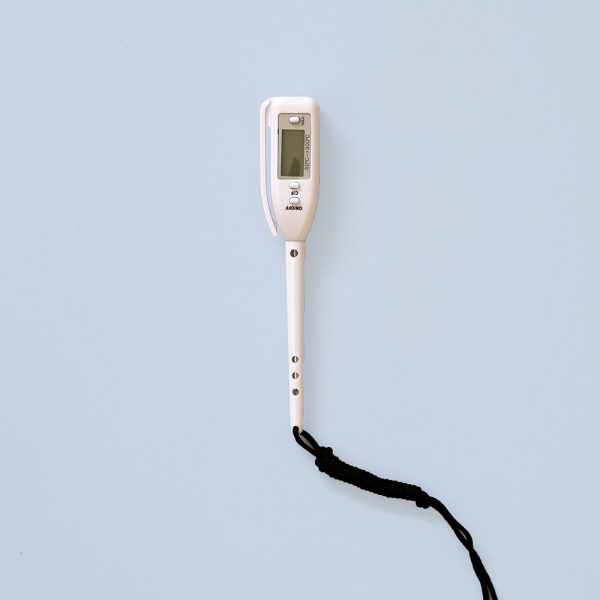 Digital Thermometer