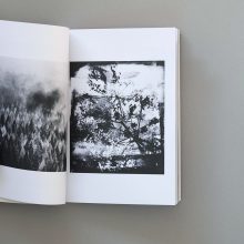 POETRY: A Shutter Hub Editions Publication