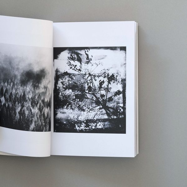 POETRY: A Shutter Hub Editions Publication