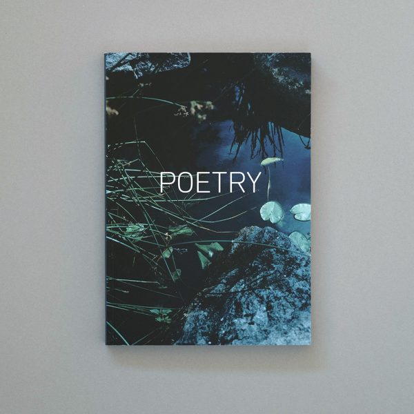 POETRY: A Shutter Hub Editions Publication
