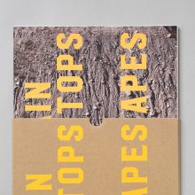 ALAN GIGNOUX Mountain Tops to Moonscapes