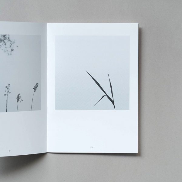 DARREN ROSE Odayakana 2 DARREN ROSE Odayakana 2