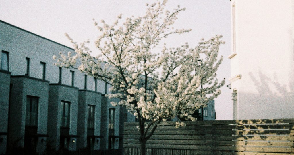 Lomography Metropolis 110 Film Review