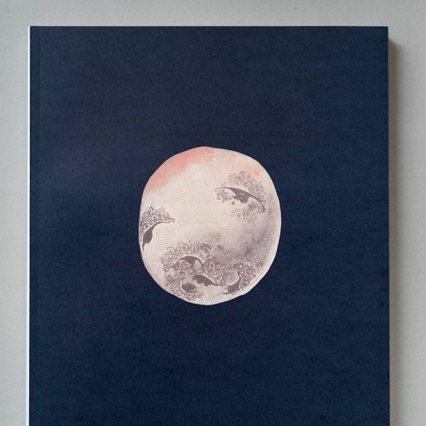 Luncheon No12 2 Luncheon N.12