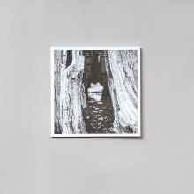 RYAN SEABROOK Seasonal Affective RYAN SEABROOK Seasonal Affective