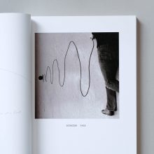 WILLIAM WEGMAN writing by artist