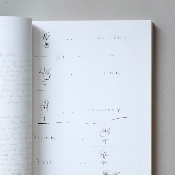 WILLIAM WEGMAN writing by artist