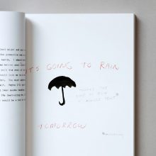 WILLIAM WEGMAN writing by artist