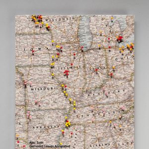 ALEC SOTH Gathered Leaves Annotated