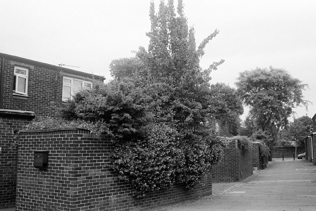 Ilford HP5 Contax G2 Pyro East Dulwich 13