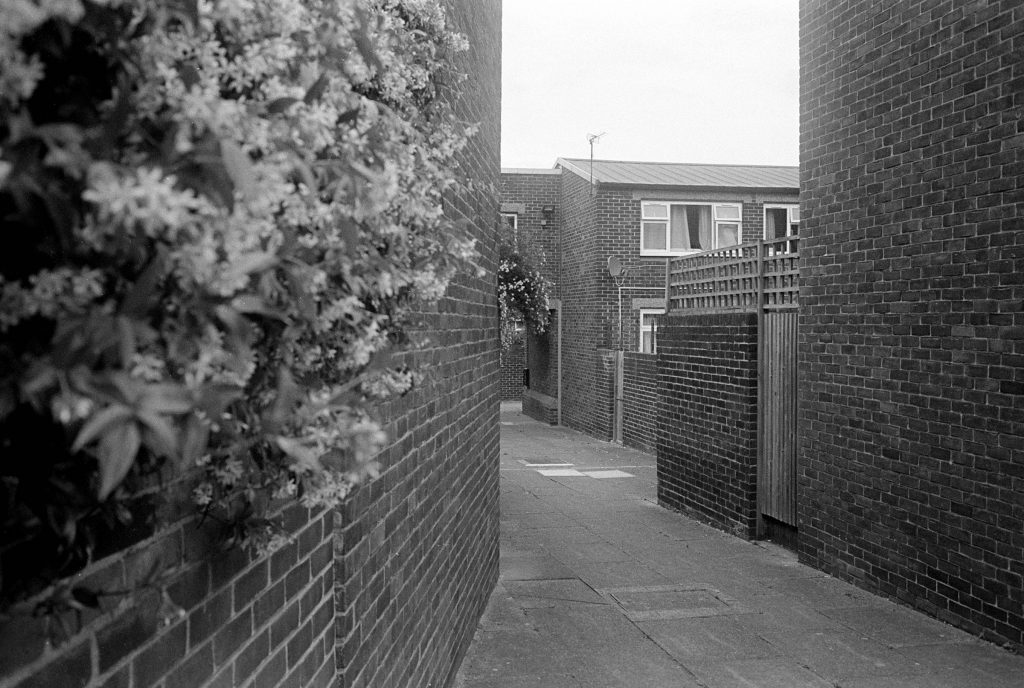 Ilford HP5 G2 Pyro East Dulwich 14