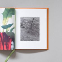 MAX FERGUSON Whistling For Owls 3 Whistling For Owls