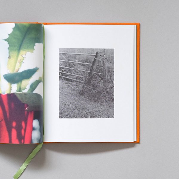 MAX FERGUSON Whistling For Owls 3 Whistling For Owls