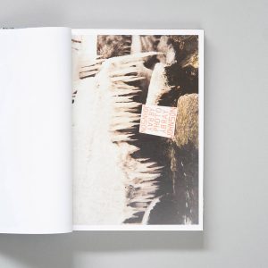 PLEASE SEND TO REAL LIFE- Ray Johnson Photographs