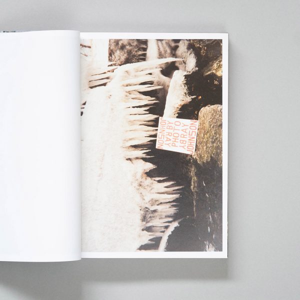 PLEASE SEND TO REAL LIFE- Ray Johnson Photographs 1 PLEASE SEND TO REAL LIFE- Ray Johnson Photographs