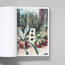 PLEASE SEND TO REAL LIFE- Ray Johnson Photographs 2 PLEASE SEND TO REAL LIFE- Ray Johnson Photographs