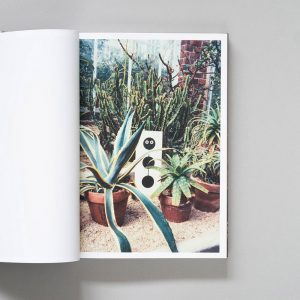 PLEASE SEND TO REAL LIFE- Ray Johnson Photographs