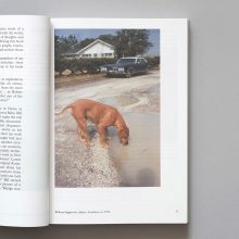 STEPHEN SHORE Modern Instances The Craft of Photography A Memoir