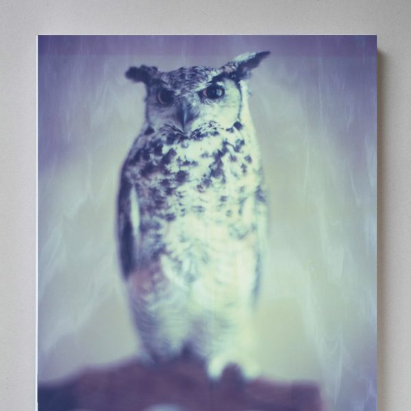 Luncheon No13 1 Luncheon Magazine Owl