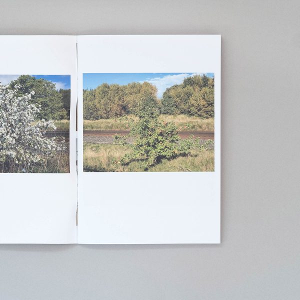 STEPHEN MCCOY Failed Photo Projects Café Royal Books