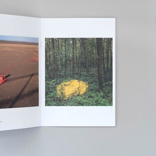 STEPHEN MCCOY Failed Photo Projects Café Royal Books