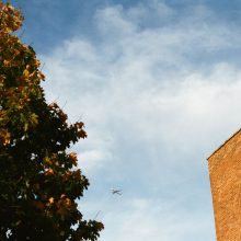 CineStill 400D G2 38 Cinestill 400D 35mm Sample Image