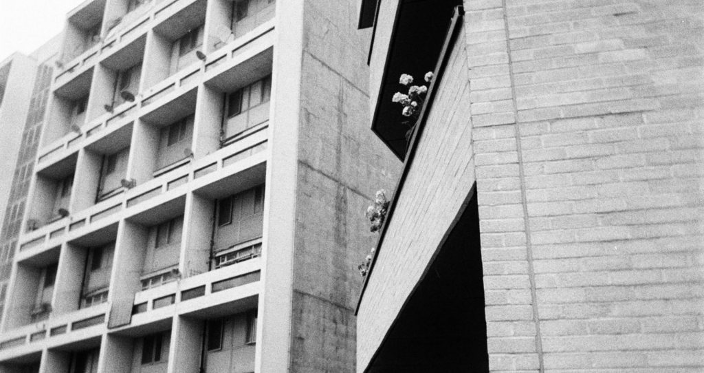 Kodak Tri-X 400 H35 Half Frame Film Review