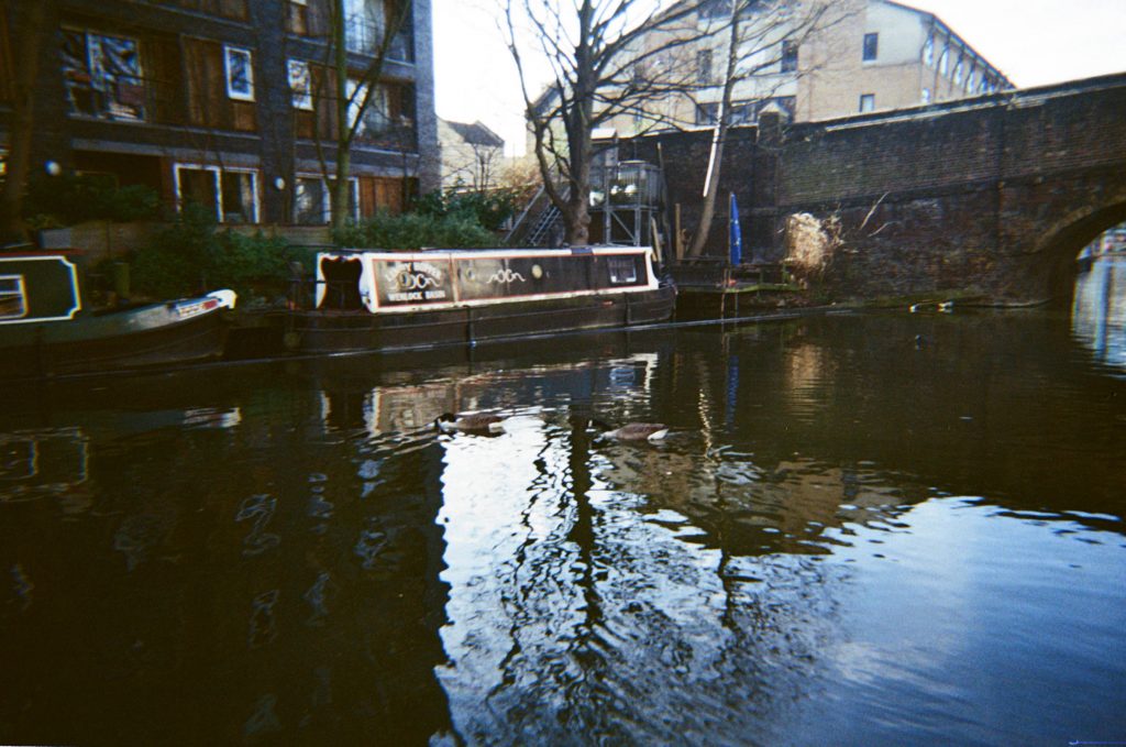 Disposable Camera Tips - Camera shake out of focus