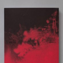 RICHARD MOSSE Broken Spectre RICHARD MOSSE Broken Spectre