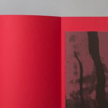 RICHARD MOSSE Broken Spectre 4 RICHARD MOSSE Broken Spectre