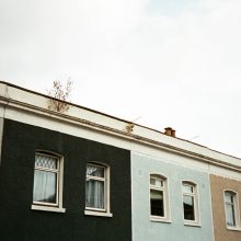 Flic Elektra 100 Film Review